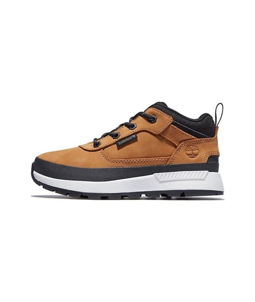 Timberland Field Trekker